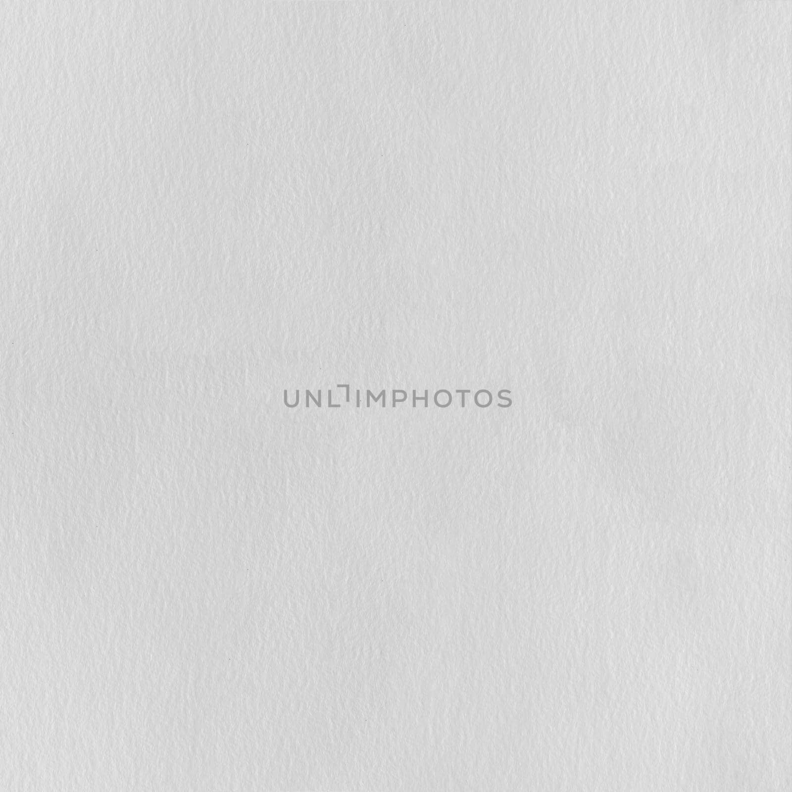 Paper texture. White paper sheet.