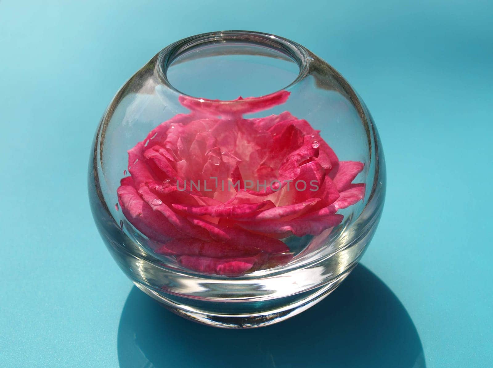Rose ball