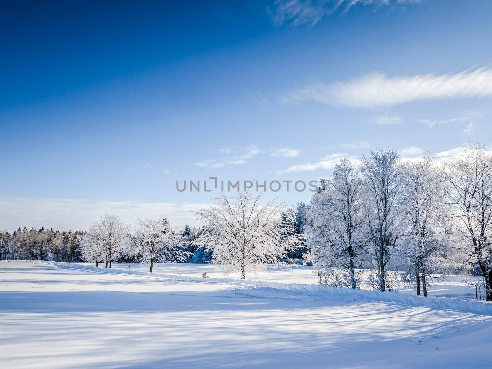 An image of a nice winter scenery