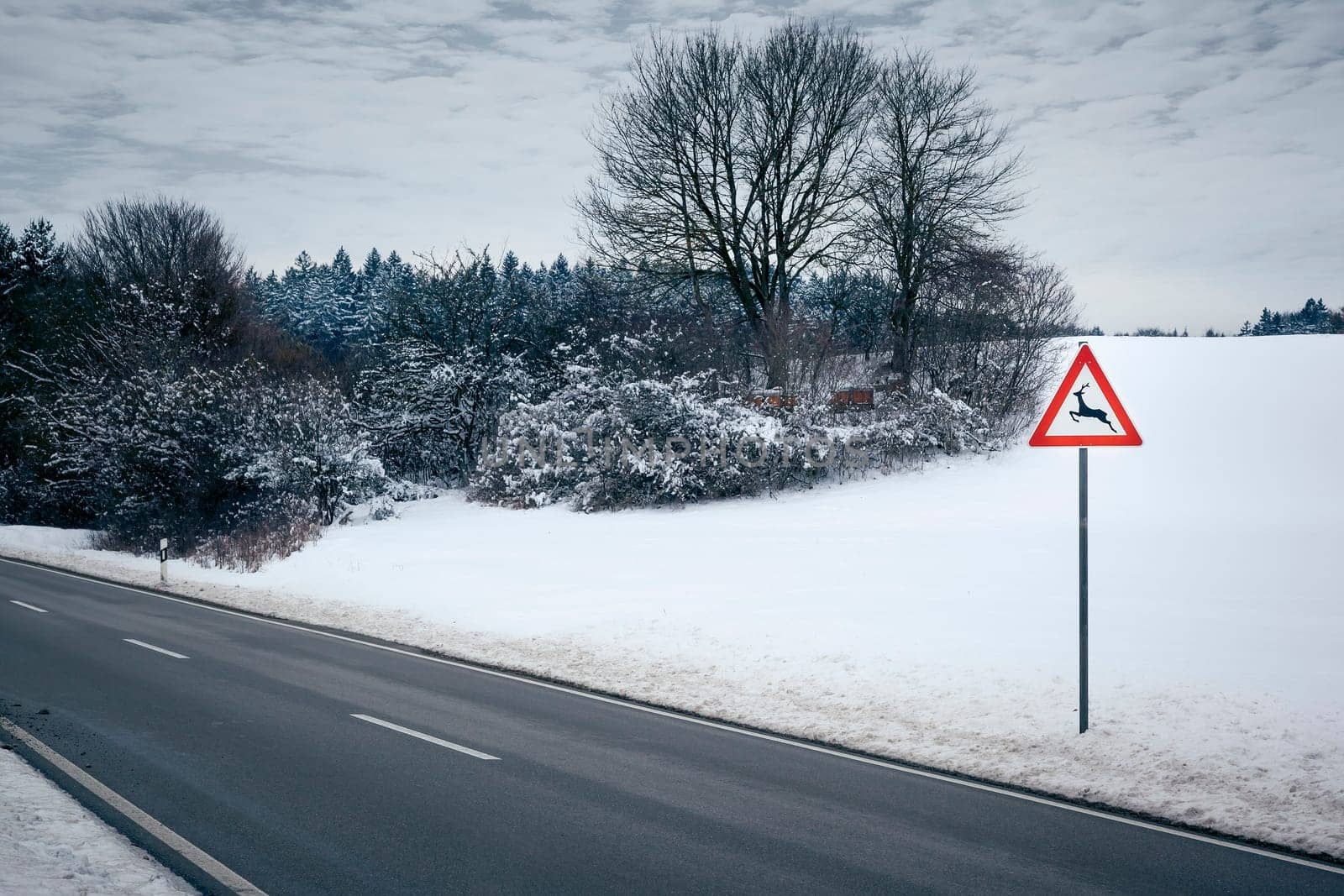 An image of a road in a winter scenery
