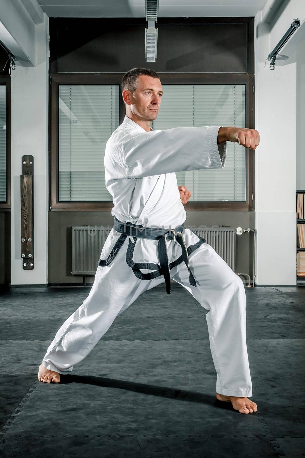 An image of a martial arts master