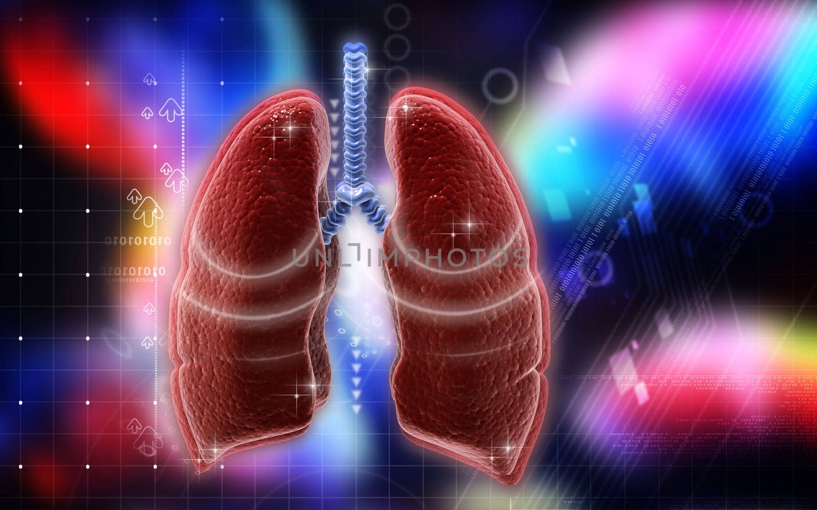 Digital illustration of human lungs in colour background