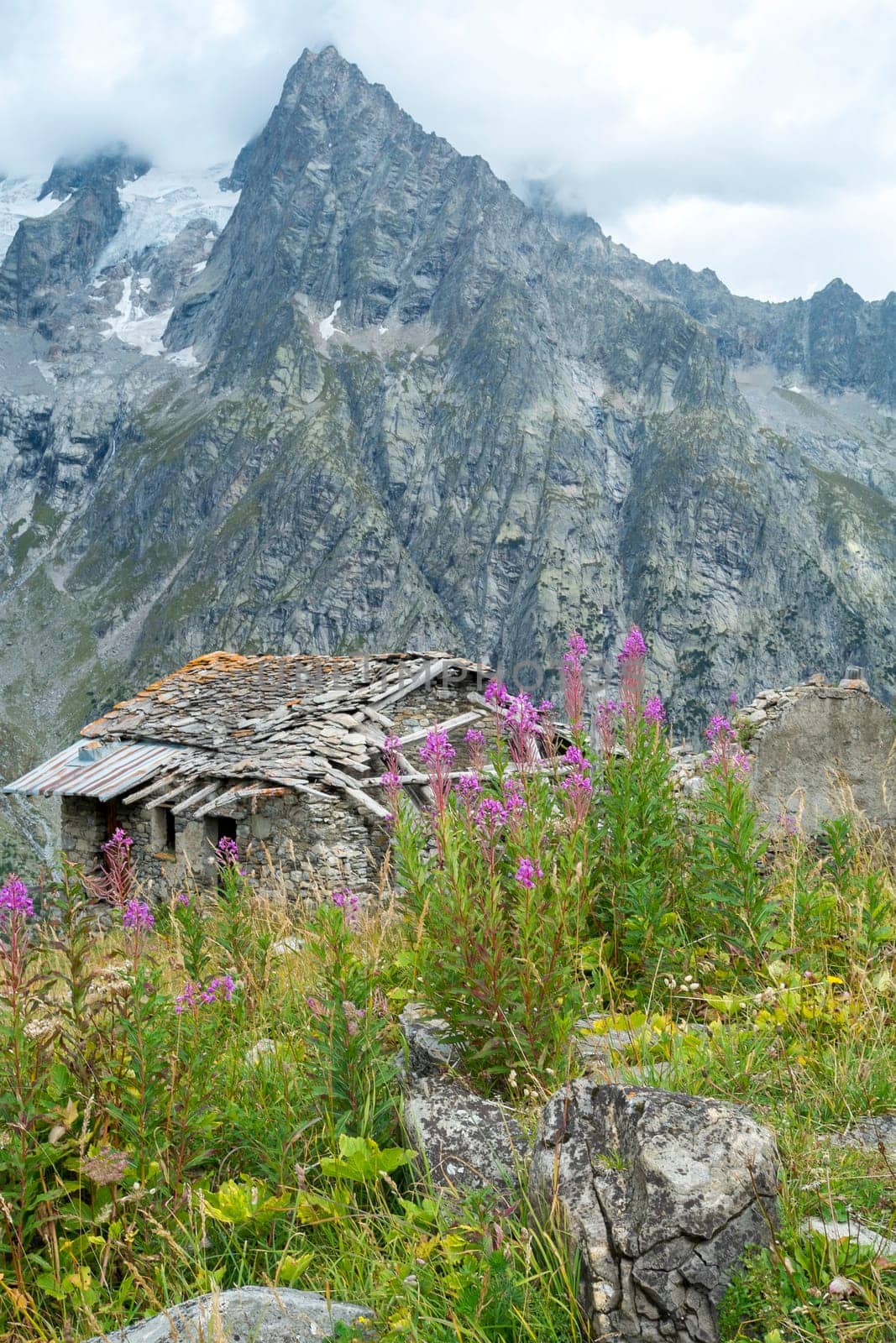Abandoned chalet and wild flowers in Val Ferret in Italy. The area is a stage of the popular European tour around Mont Blanc, which passes through France, Italy and Switzerland.