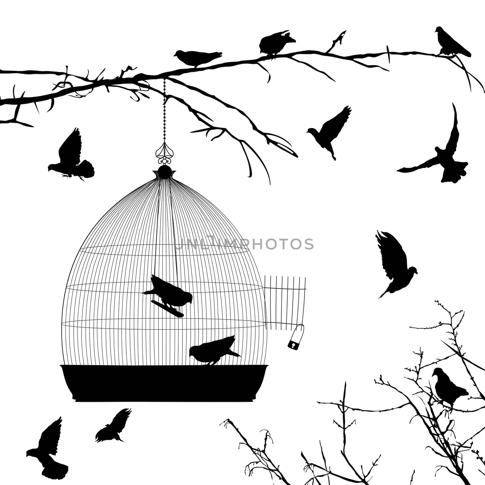 Birds silhouettes and bird cage over white background