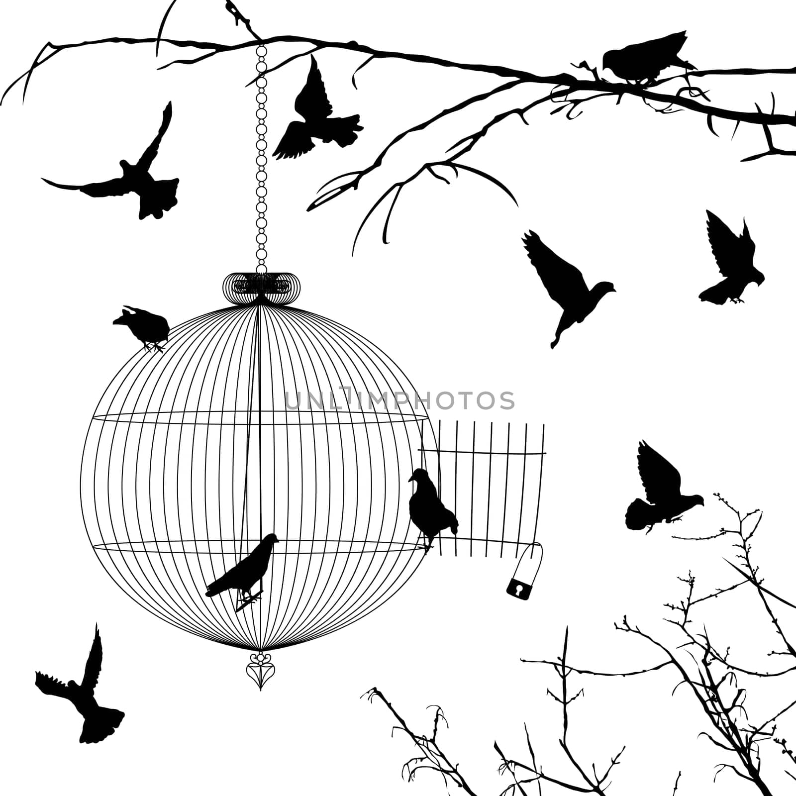 Cage and birds silhouettes over white background