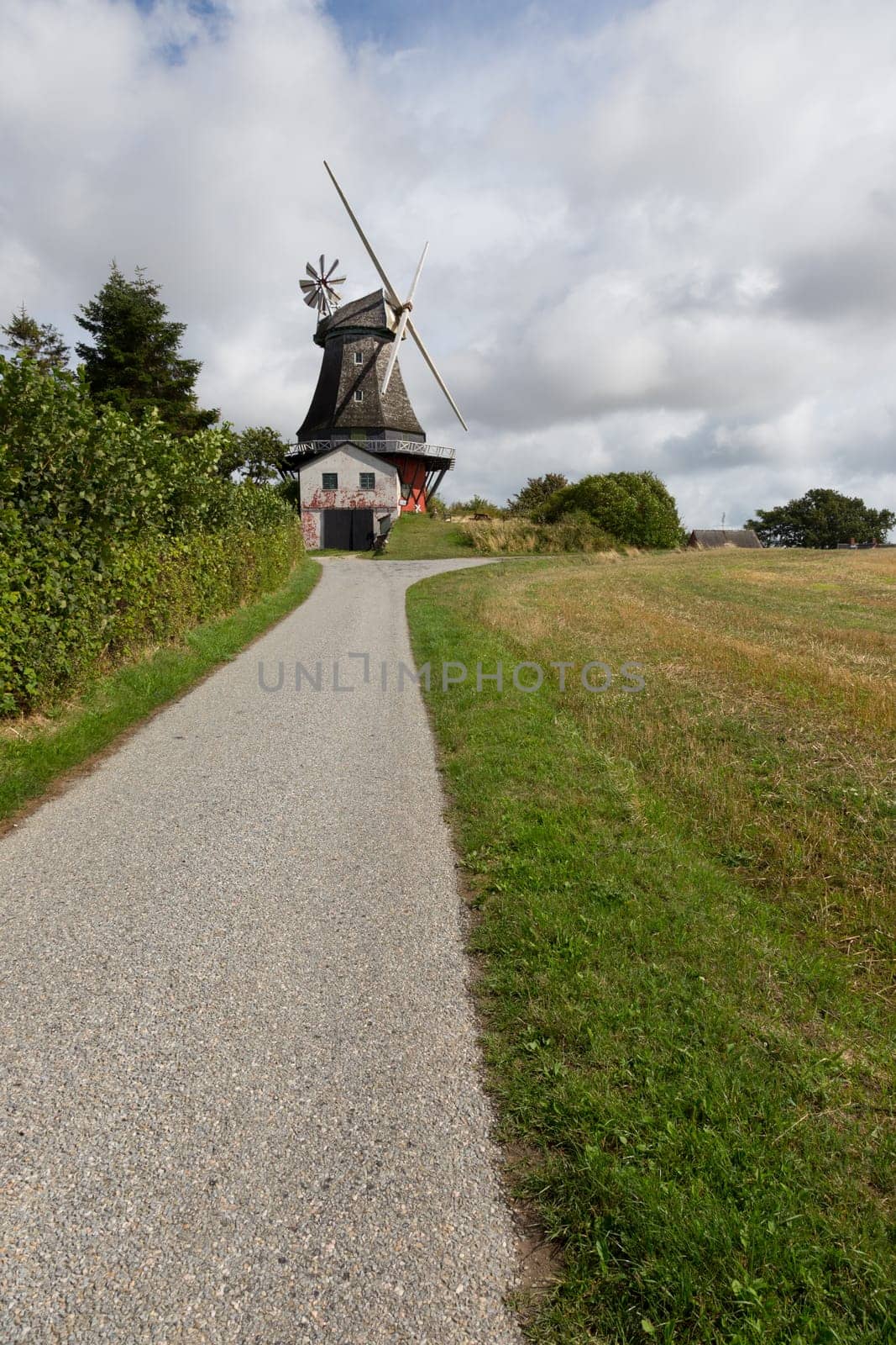 Old windmill at the end of a long driveway