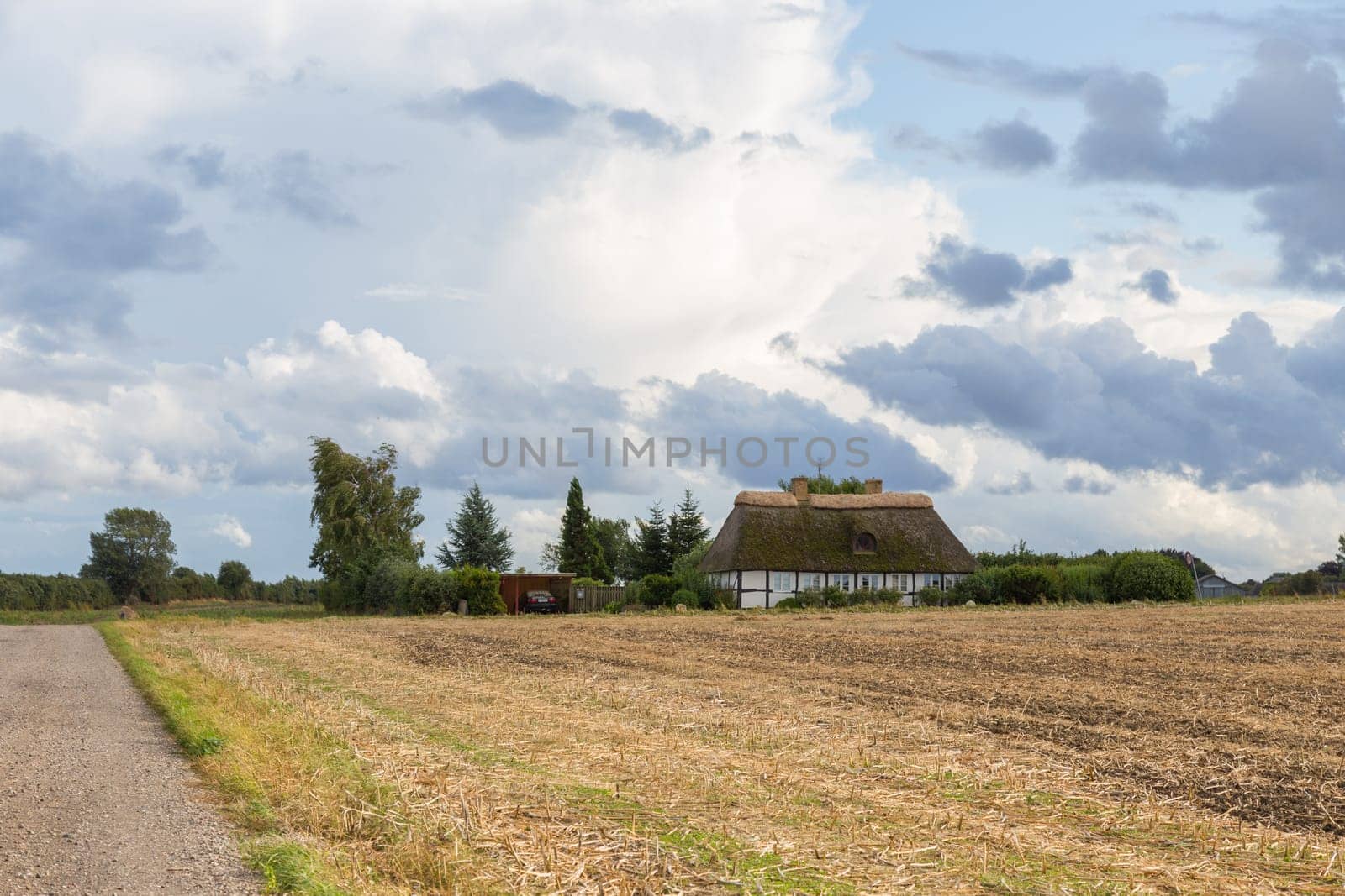 Thatched cottage near the small town of Tryggelef,Langeland