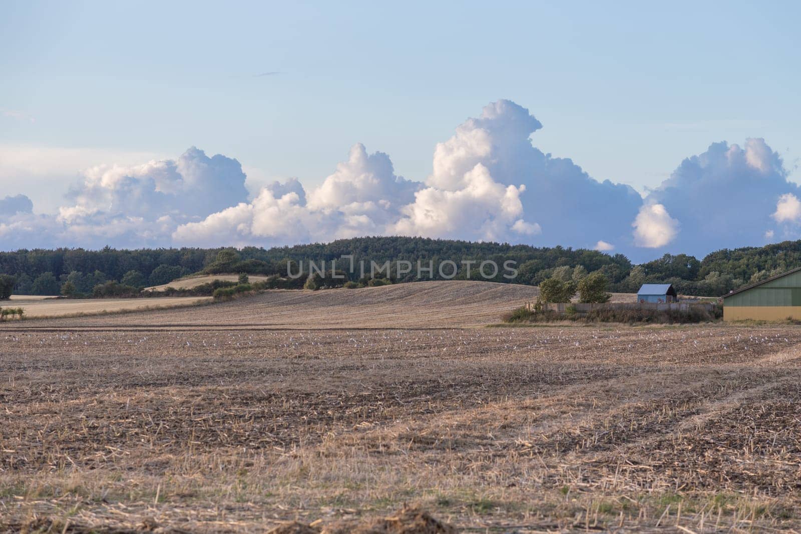 Cloud mountains over a harvested field on Langeland
