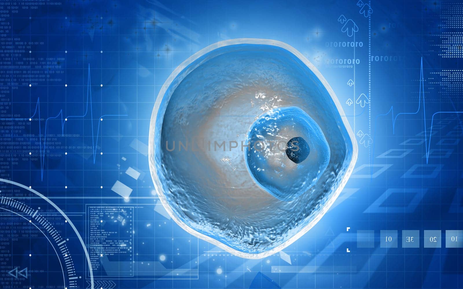 Digital illustration of ovum cell in colour background