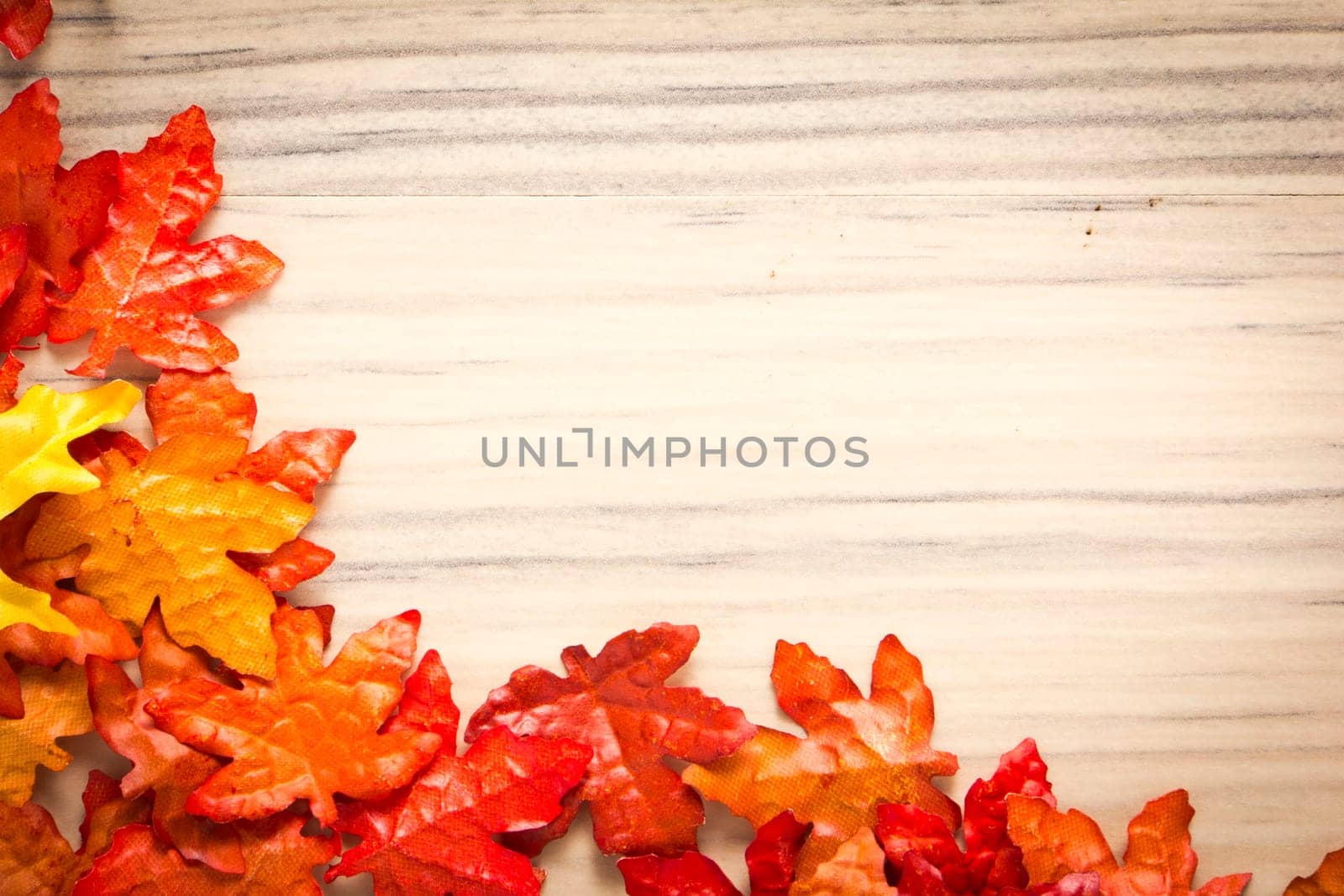 colorful leaves on a rustic wooden background