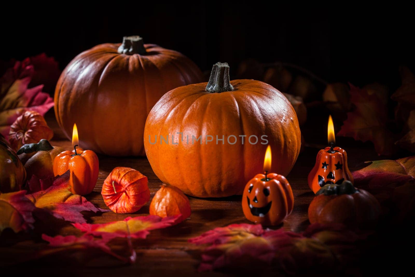 Traditional pumpkins for Thanksgiving and Halloween