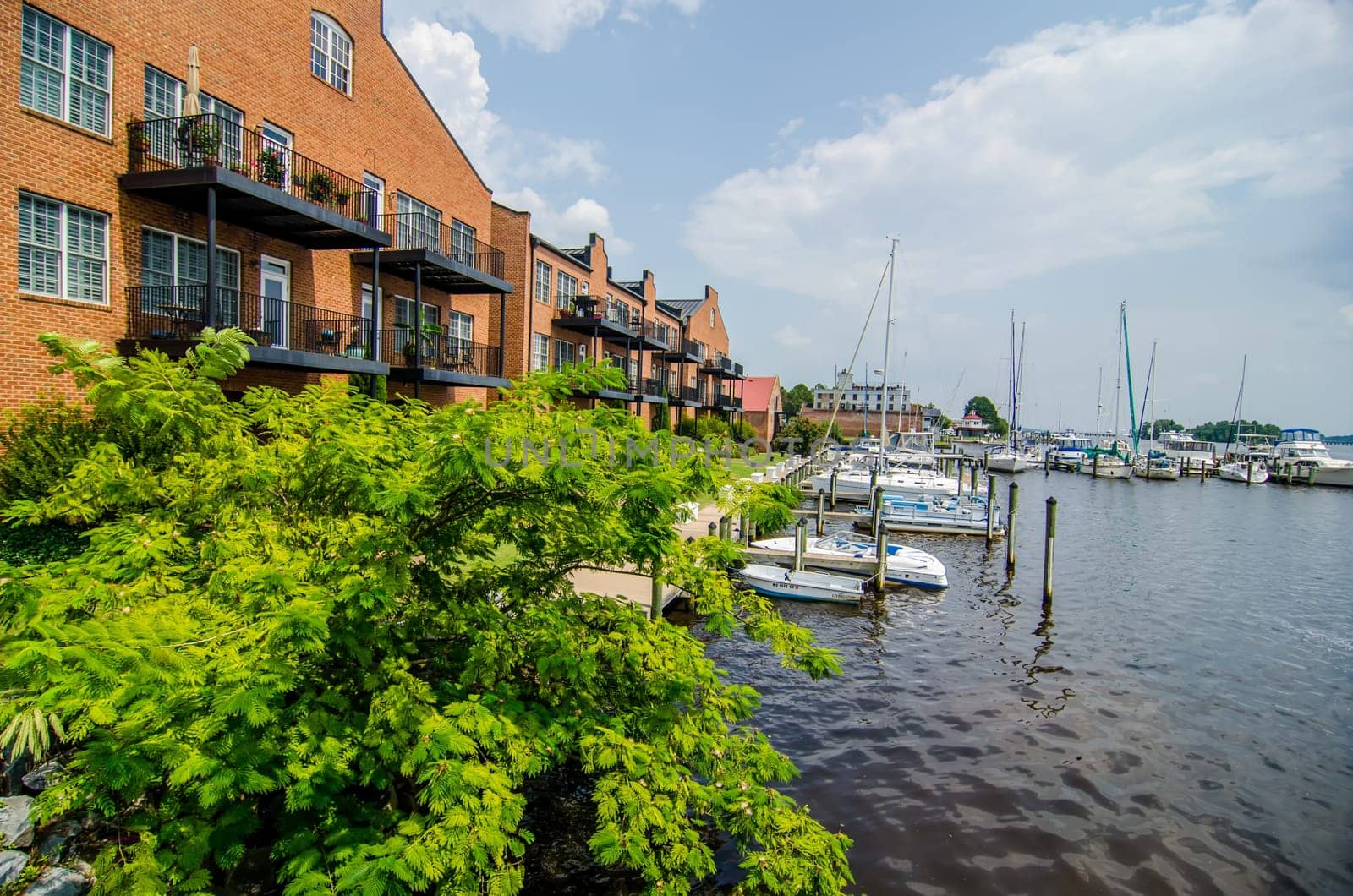 waterfront scenes in little washington north carolina
