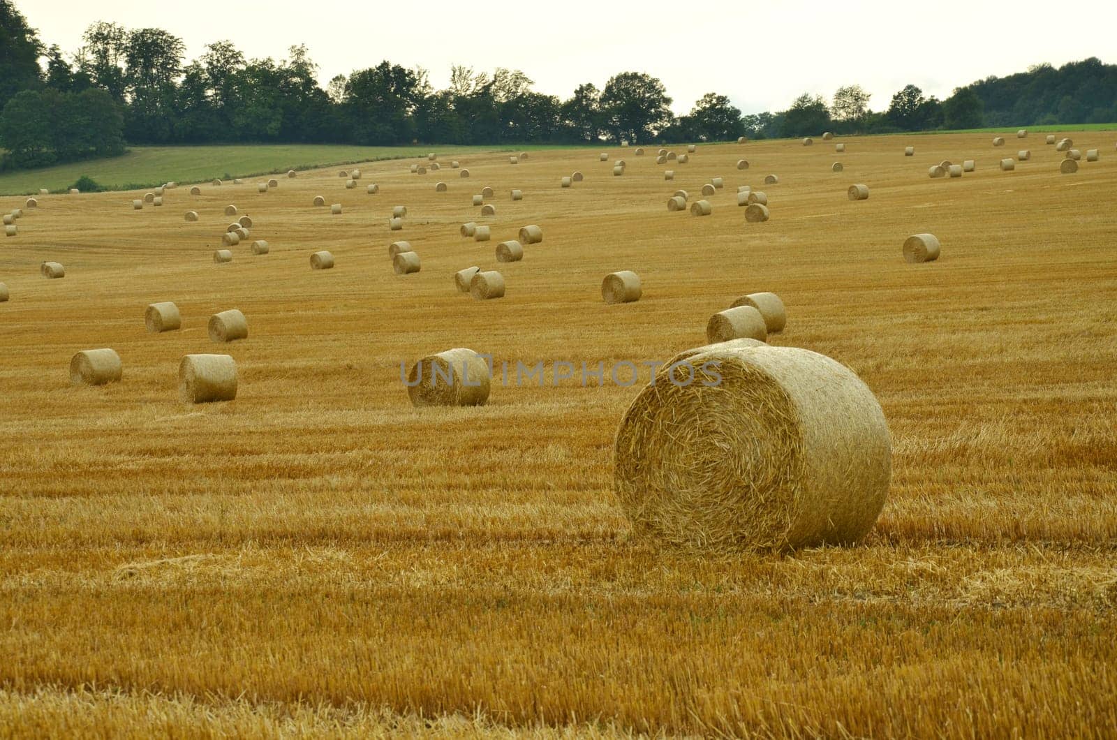 Straw bales