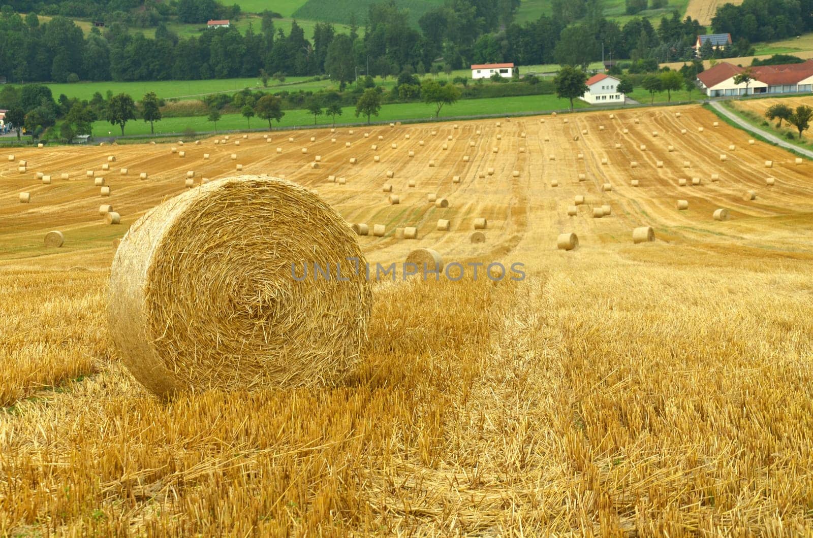 Straw bales