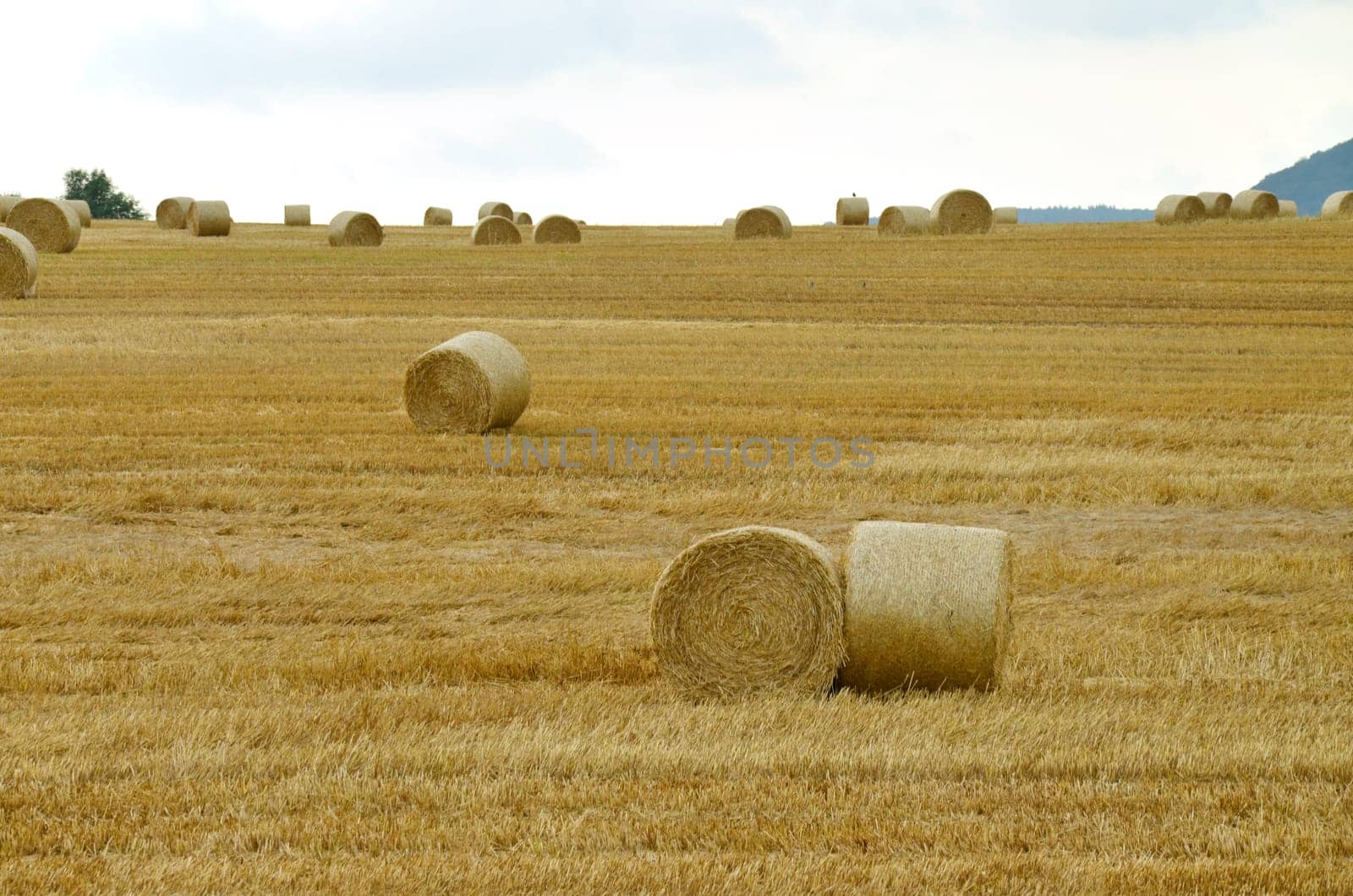 Straw bales