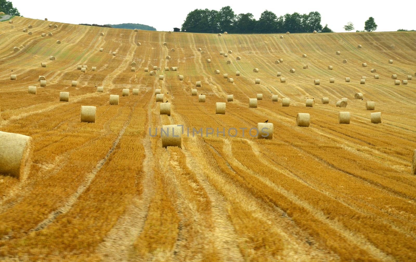 Straw bales