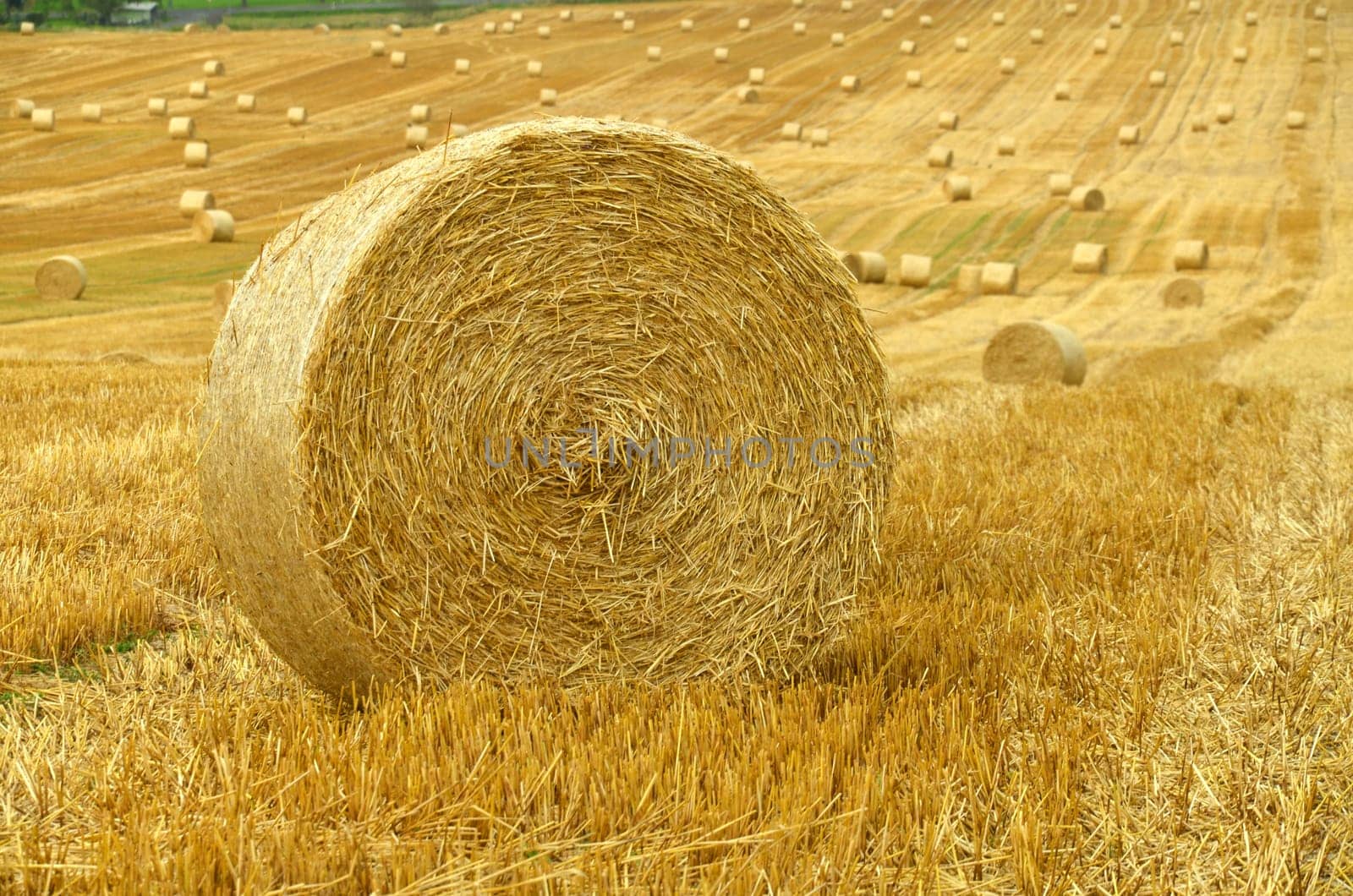 Straw bales