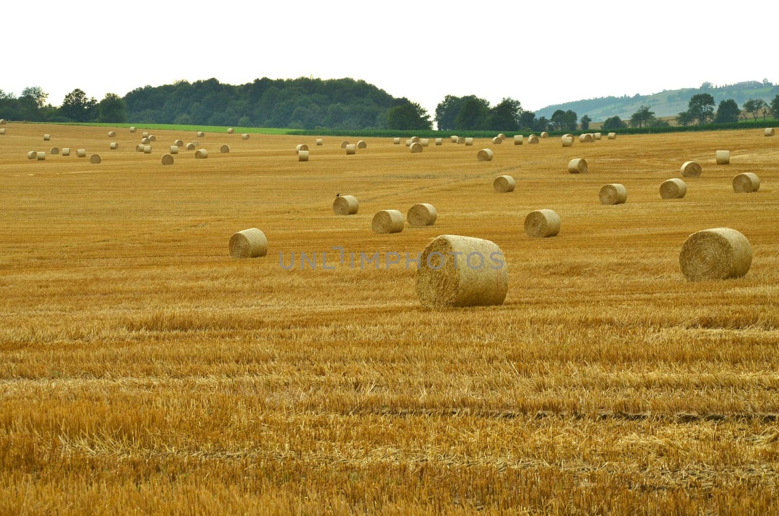 Straw bales