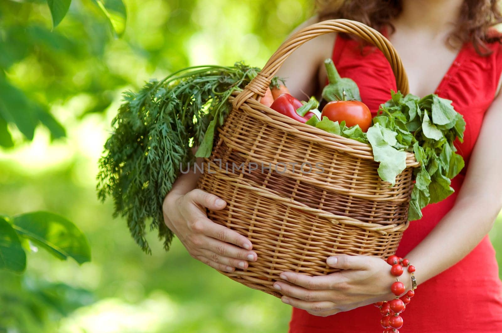Fresh vegetable in basket