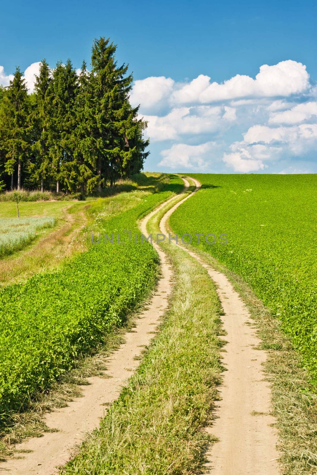 Landscape composed of a winding road, field and cloudy blue sky