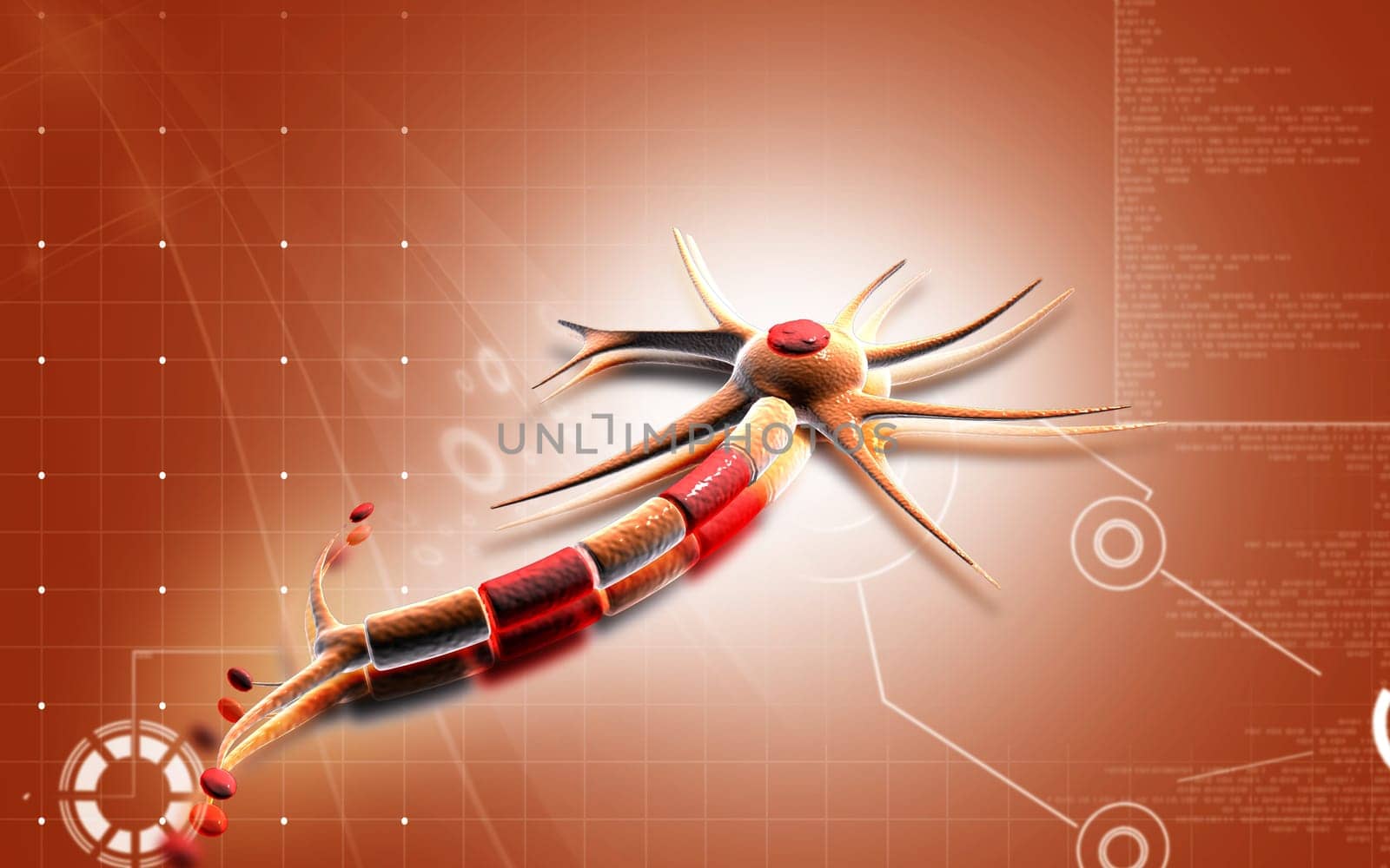 Digital illustration of neuron in colour background