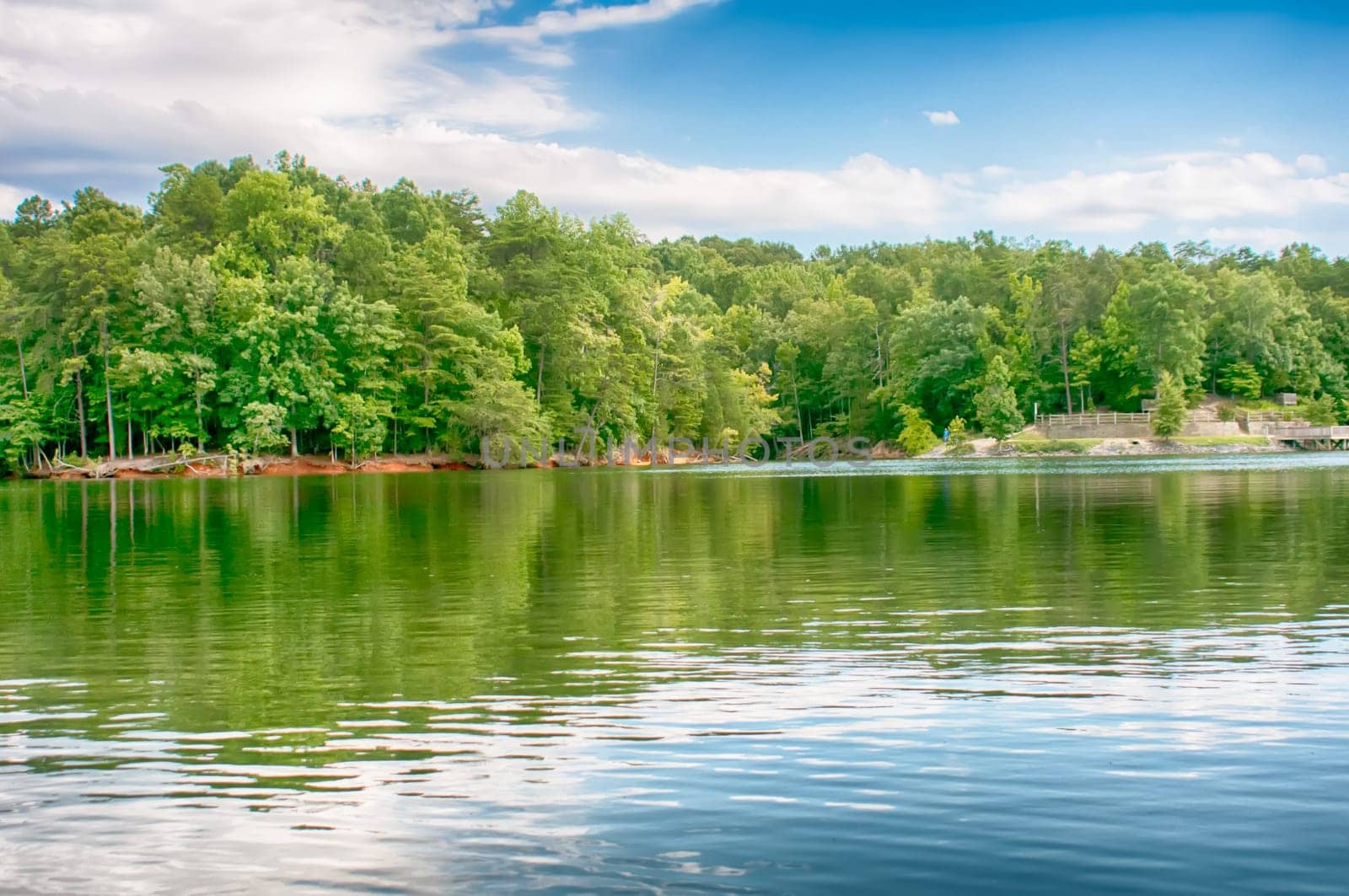 lake wylie reflections of trees