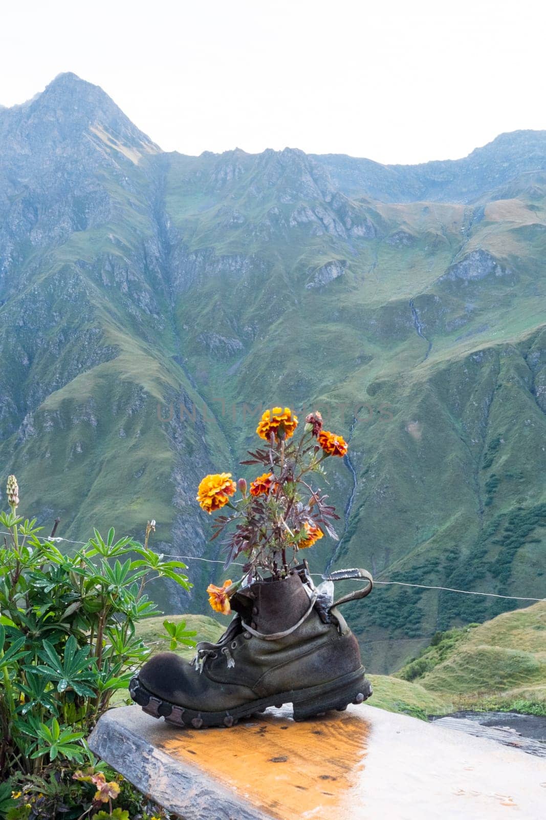 LA PEULE, SWITZERLAND - AUGUST 30