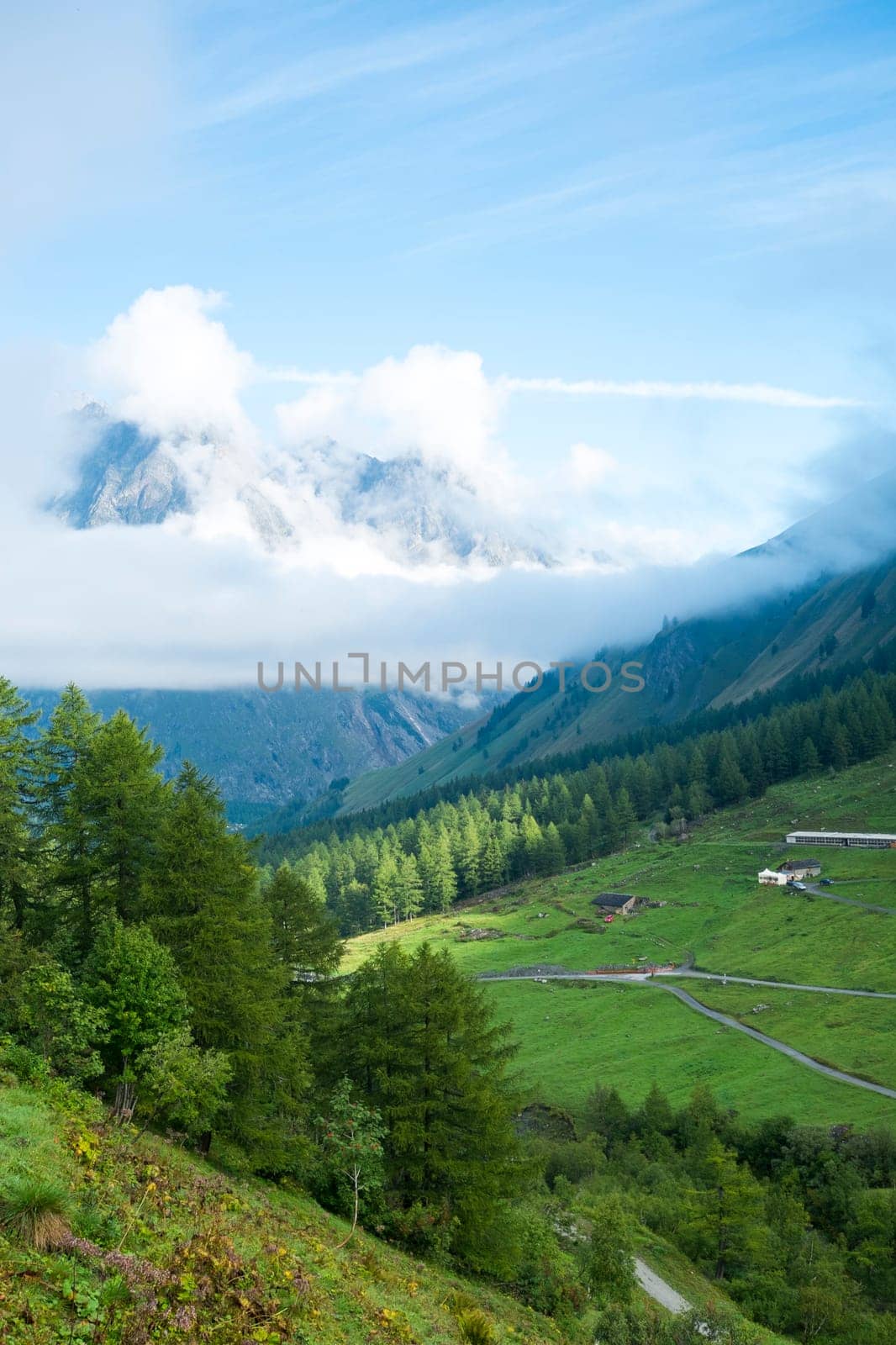 Valley in Les Ars Dessus, Switzerland, with forest and La Tsarve mountain surrounded by clouds in the background.
