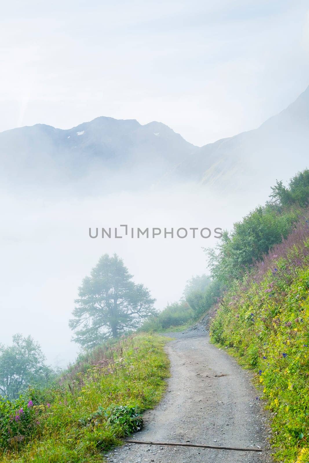Atmospheric misty road with faint tree shape and mountain range in the background.