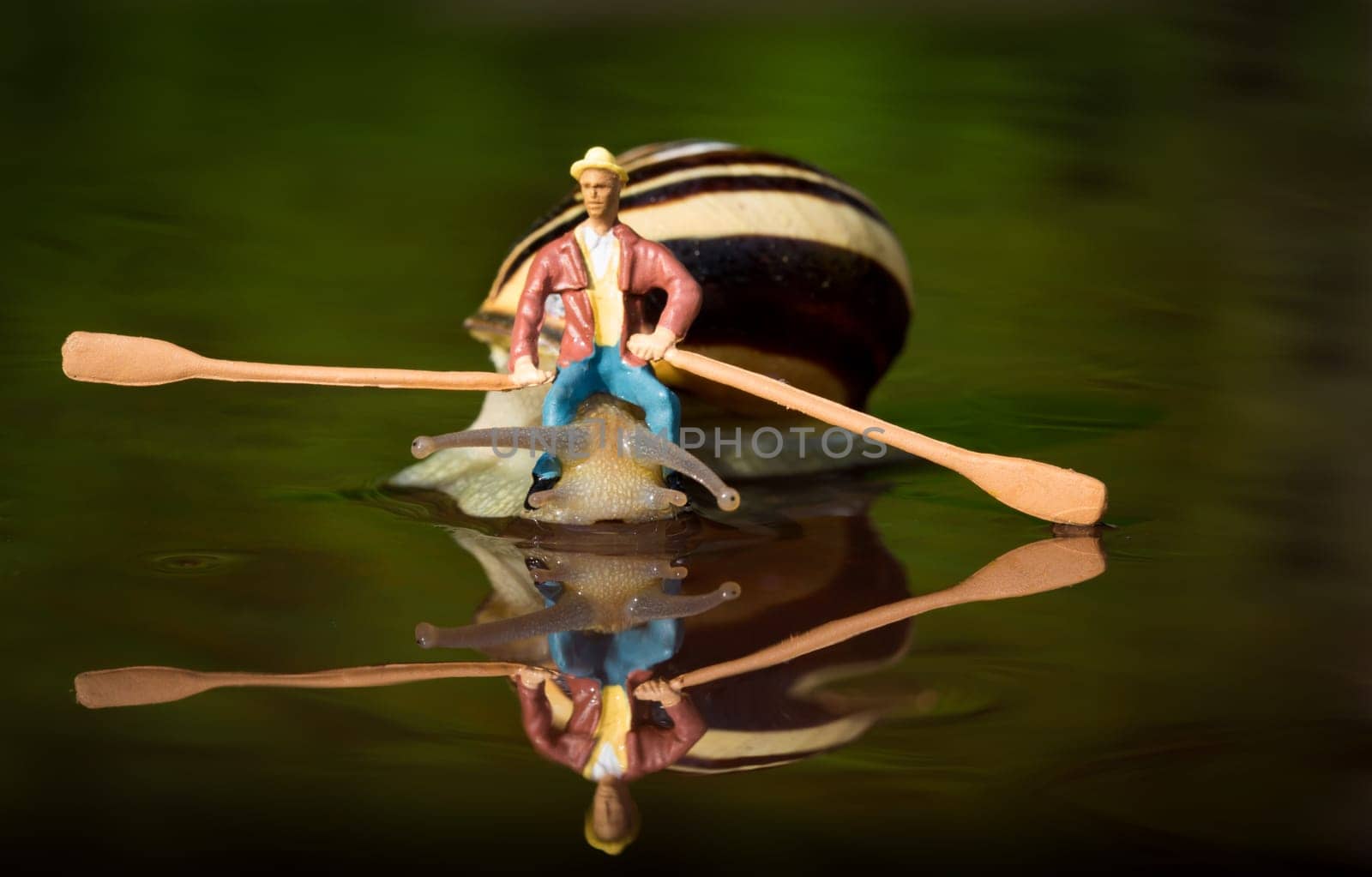 Snail Ship 4