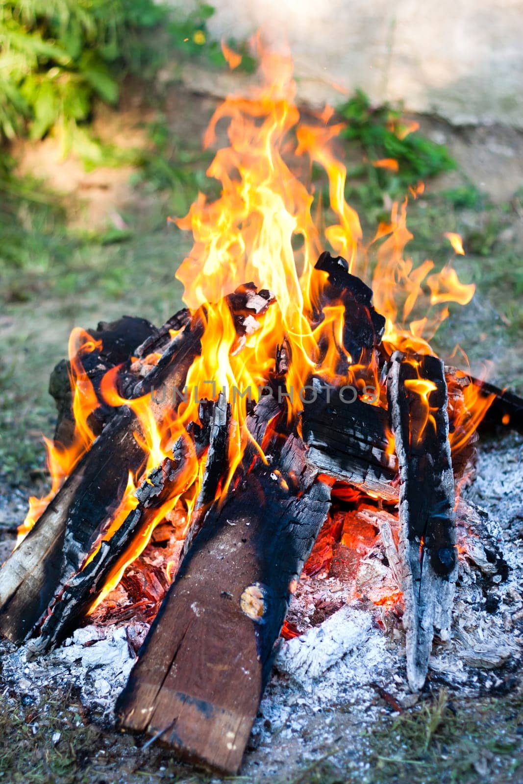 Campfire in nature