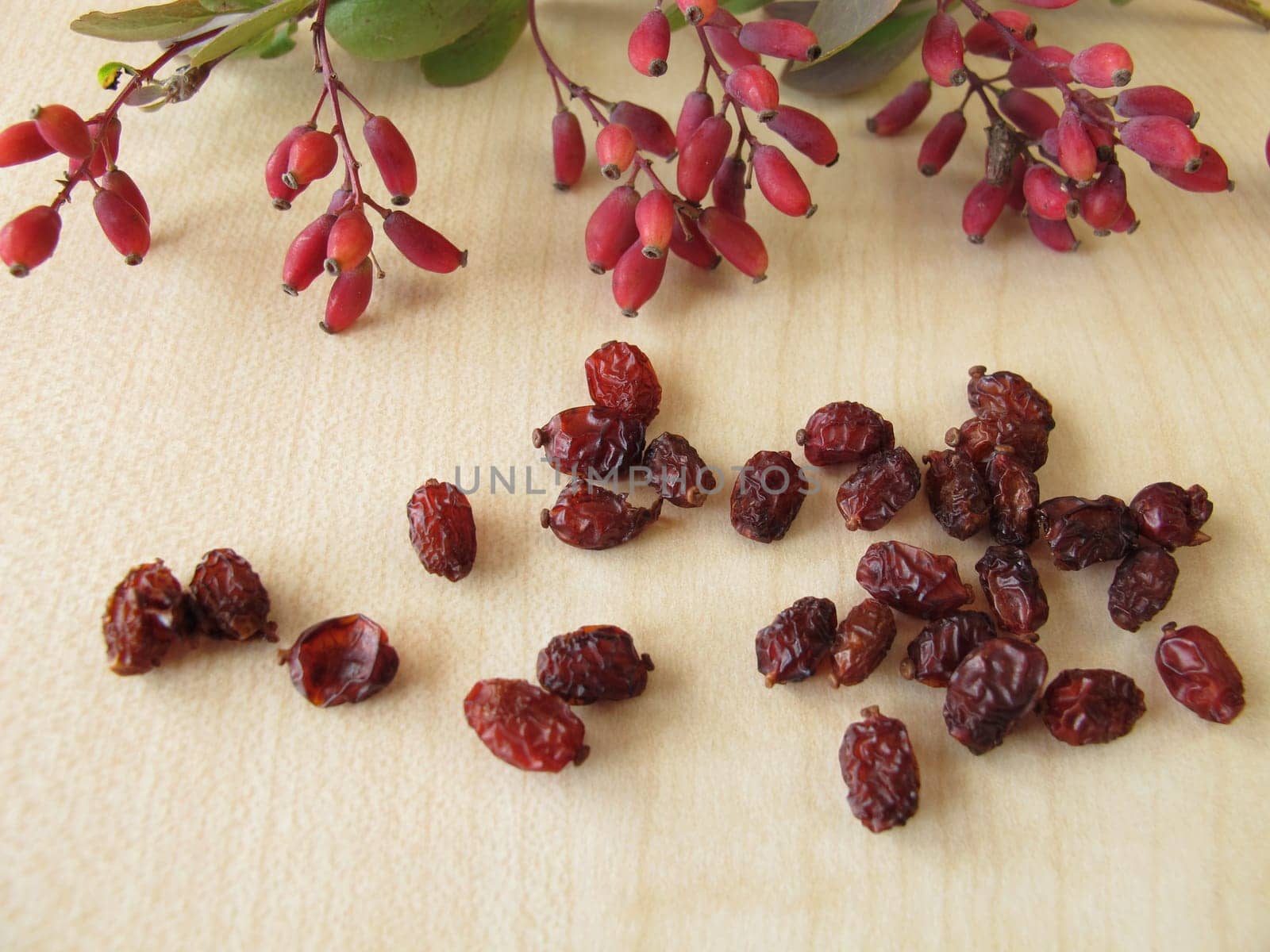 Barberry branch and dried barberry