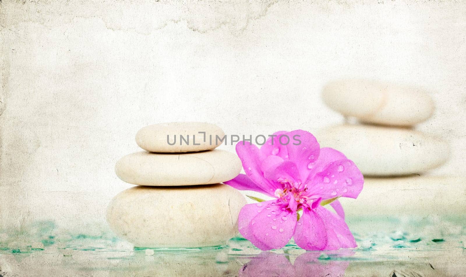 Spa stones and pink flower on white background