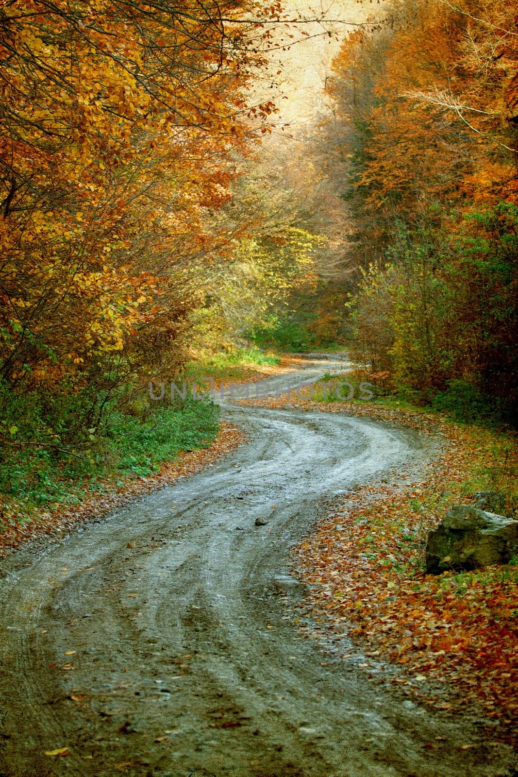 Vintage photo of curving road in autumn forest