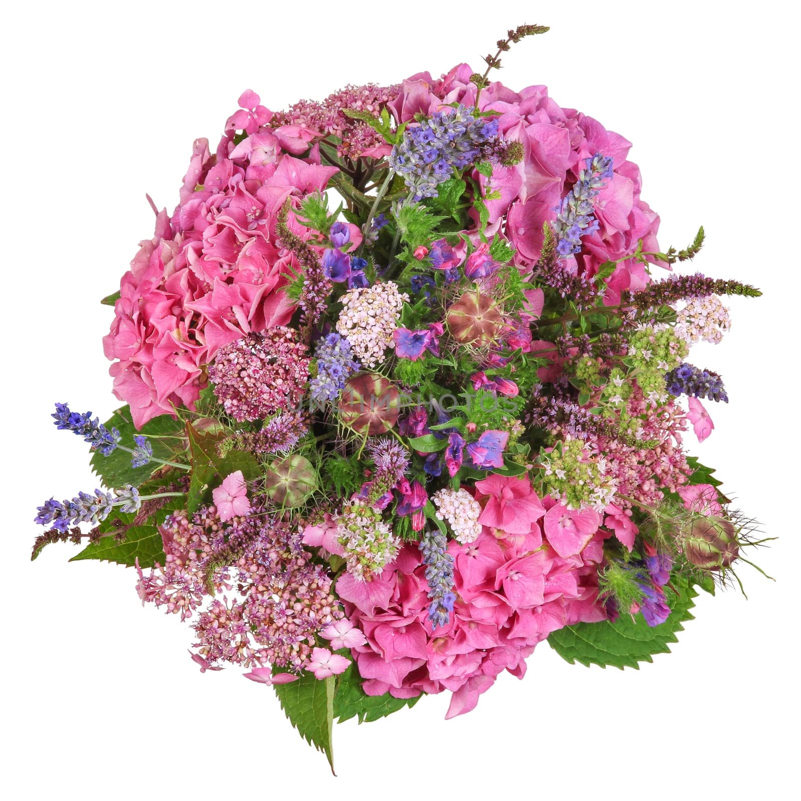 Bouquet of flowers with hydrangea and herbs