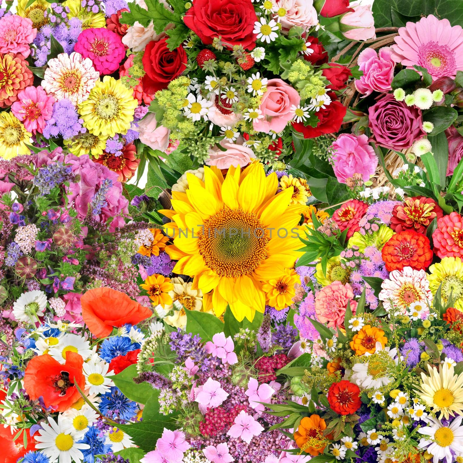 Background with flower bouquets