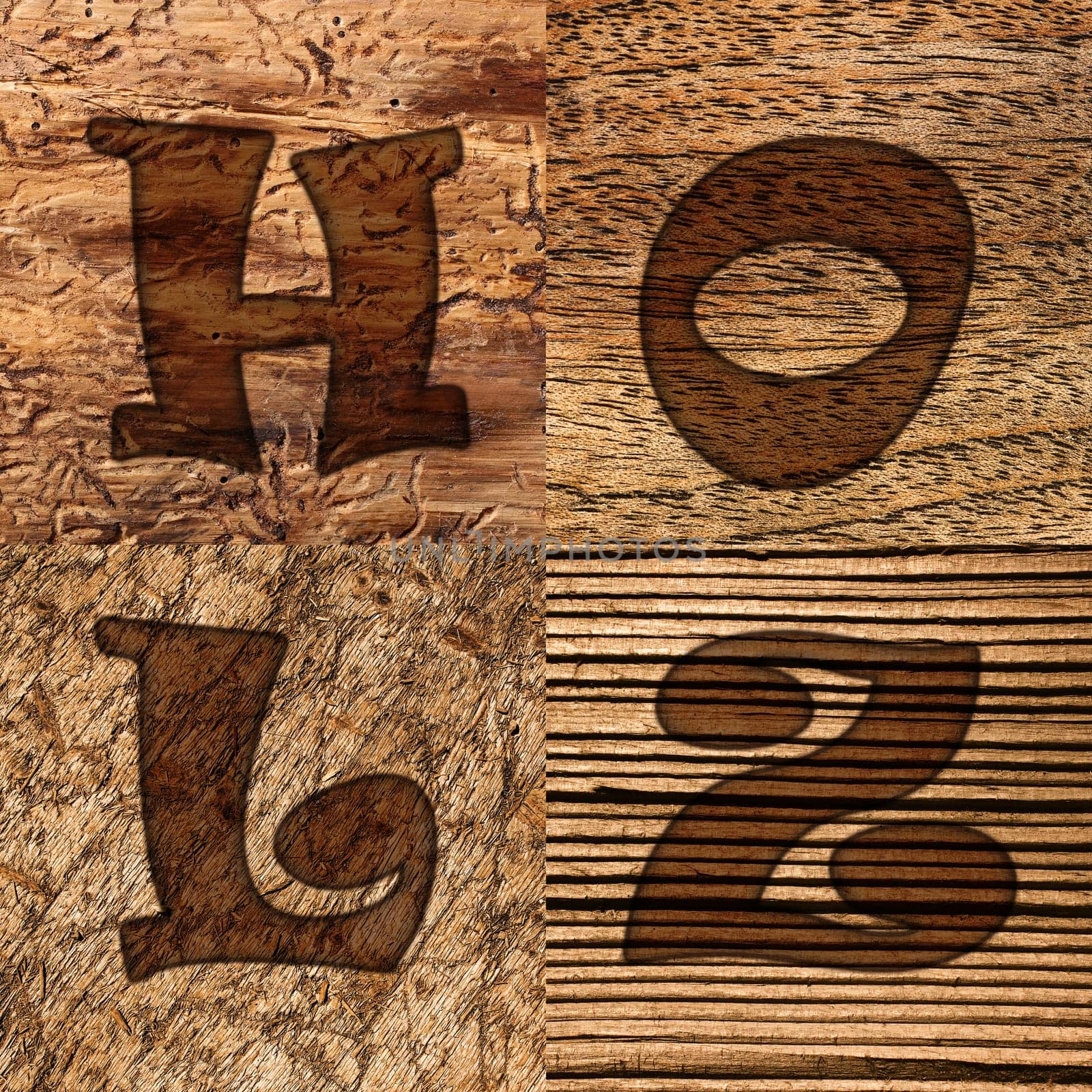 Wood species,background