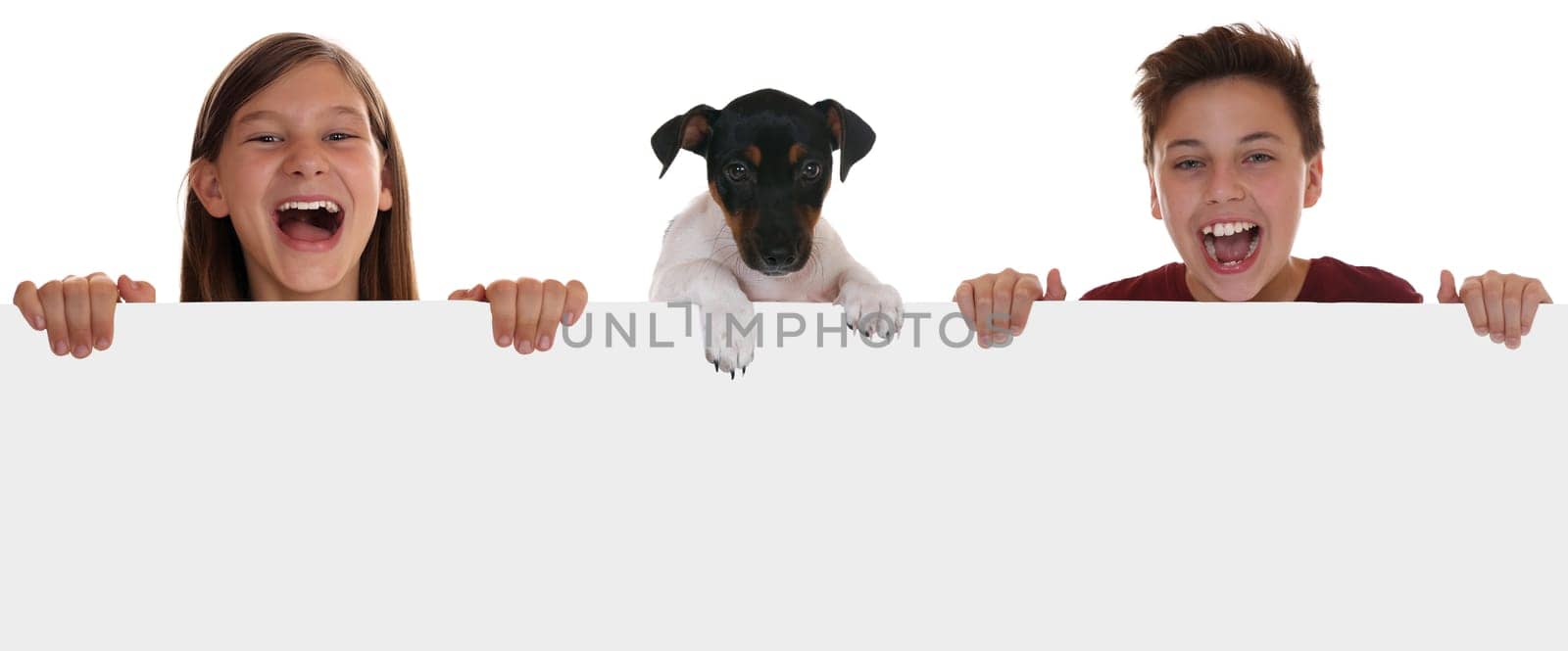 Children and dogs have fun with empty sign and text space,isolated against a white background
