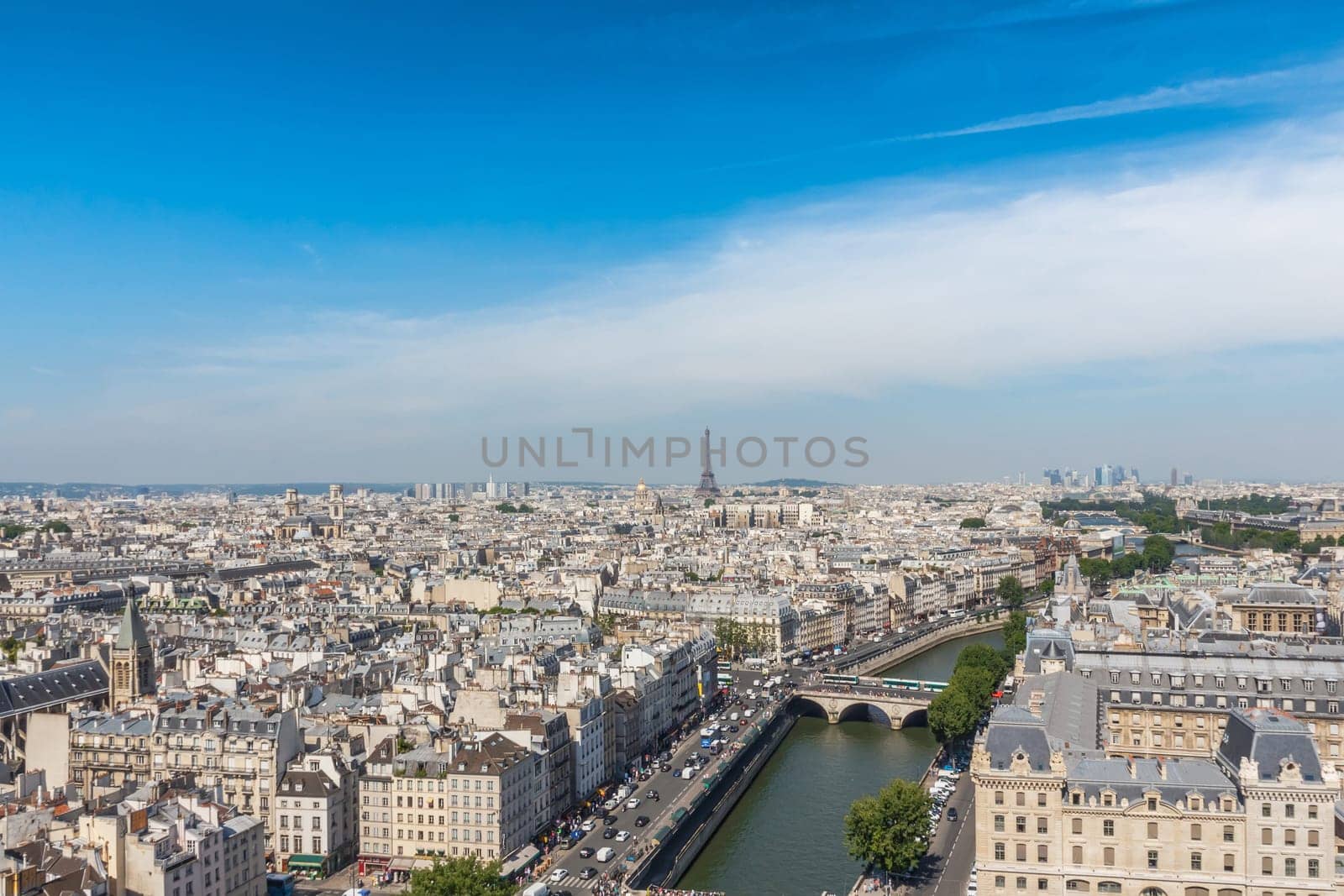 view of Paris from the Notre Dame Cathedral in Paris, France