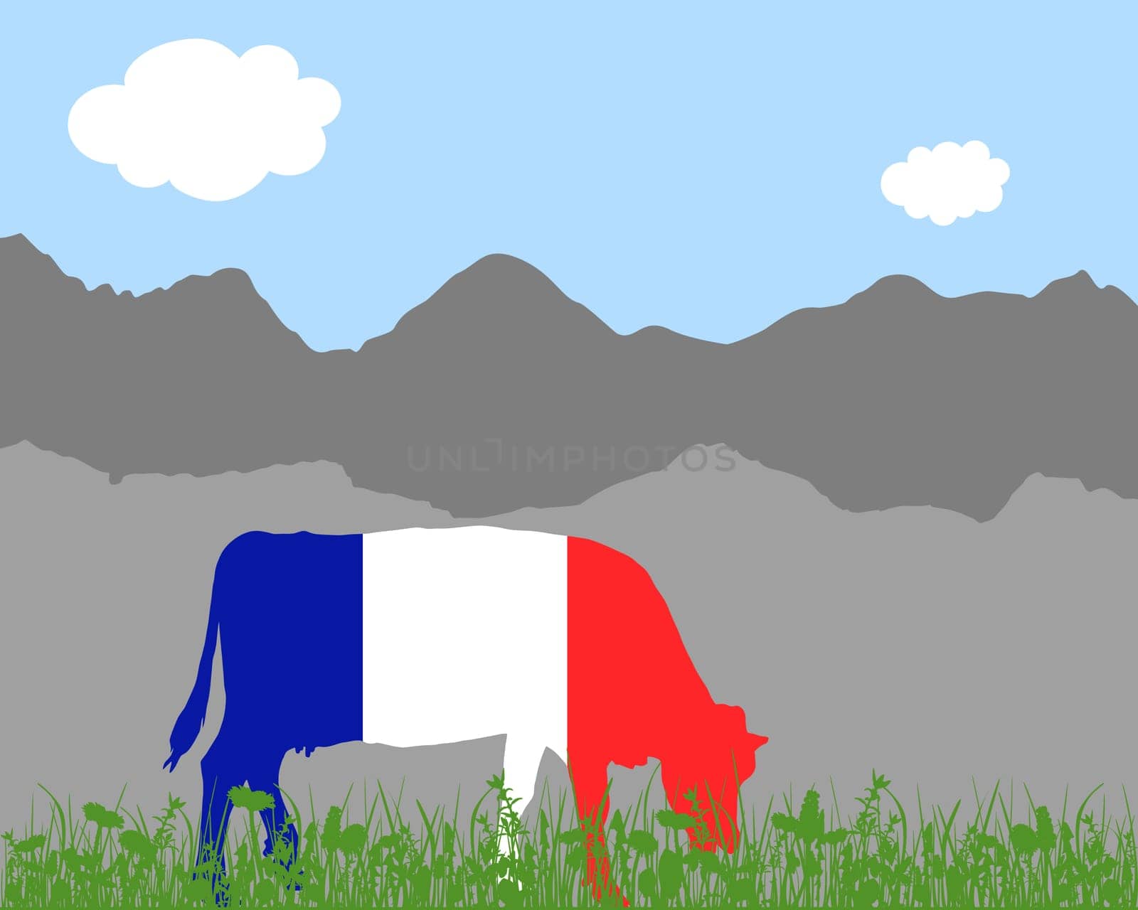 Cow Alm and French Flag