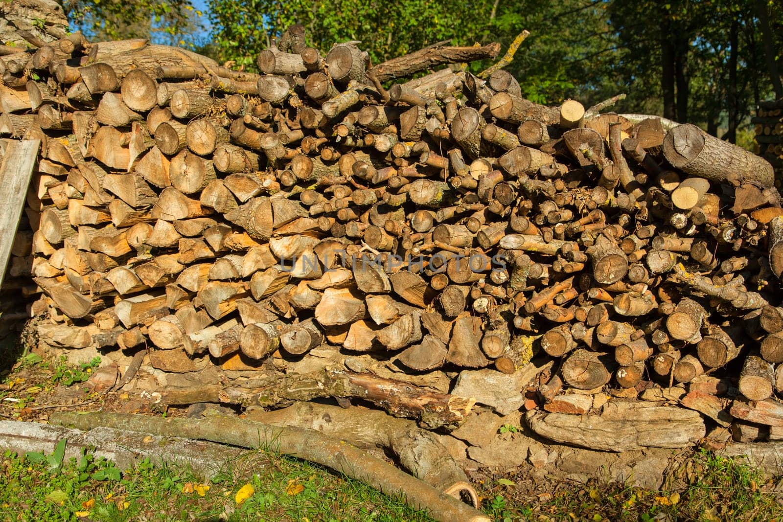 Pile of wood logs ready for winter in the garden