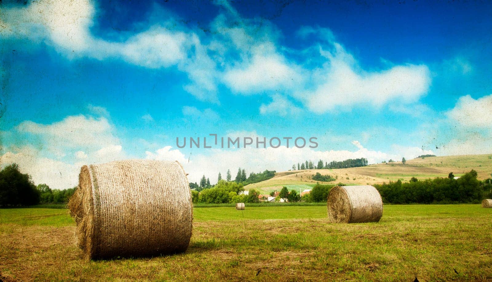 Landscape of Hay-roll on field after harvest