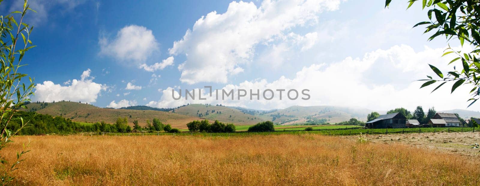 Field and blue sky - rural panoramic landscape