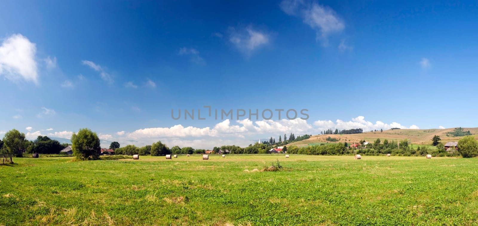 Field and blue sky - rural panoramic landscape