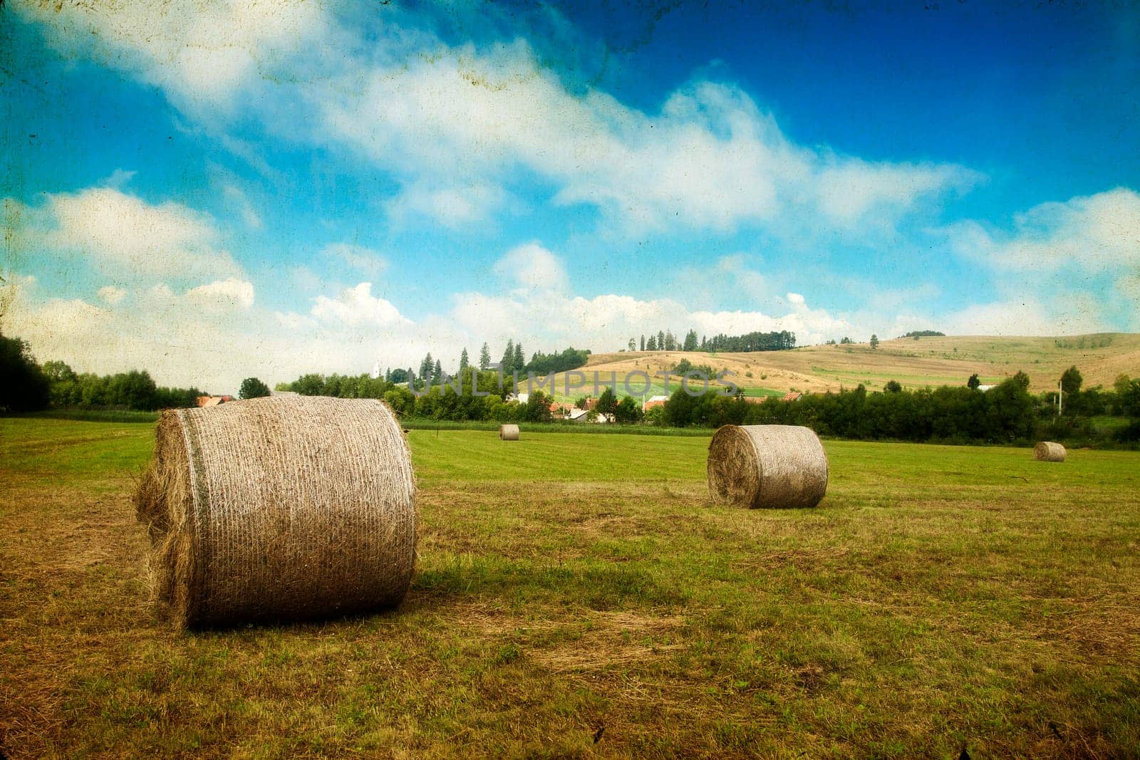 Landscape of Hay-roll on field after harvest