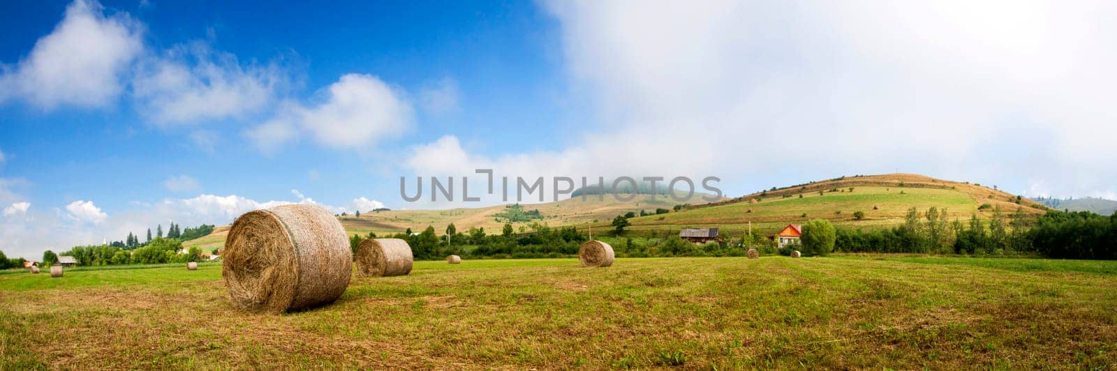 Landscape of Hay-roll on field after harvest - panorama