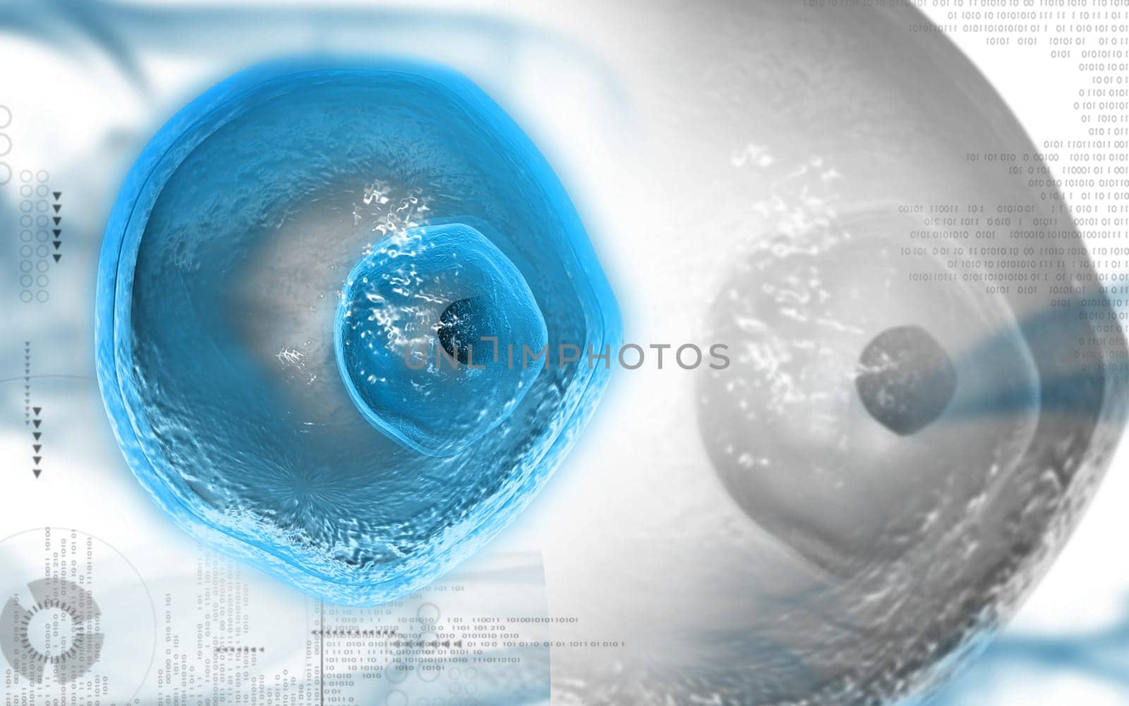 Digital illustration of ovum cell in colour background