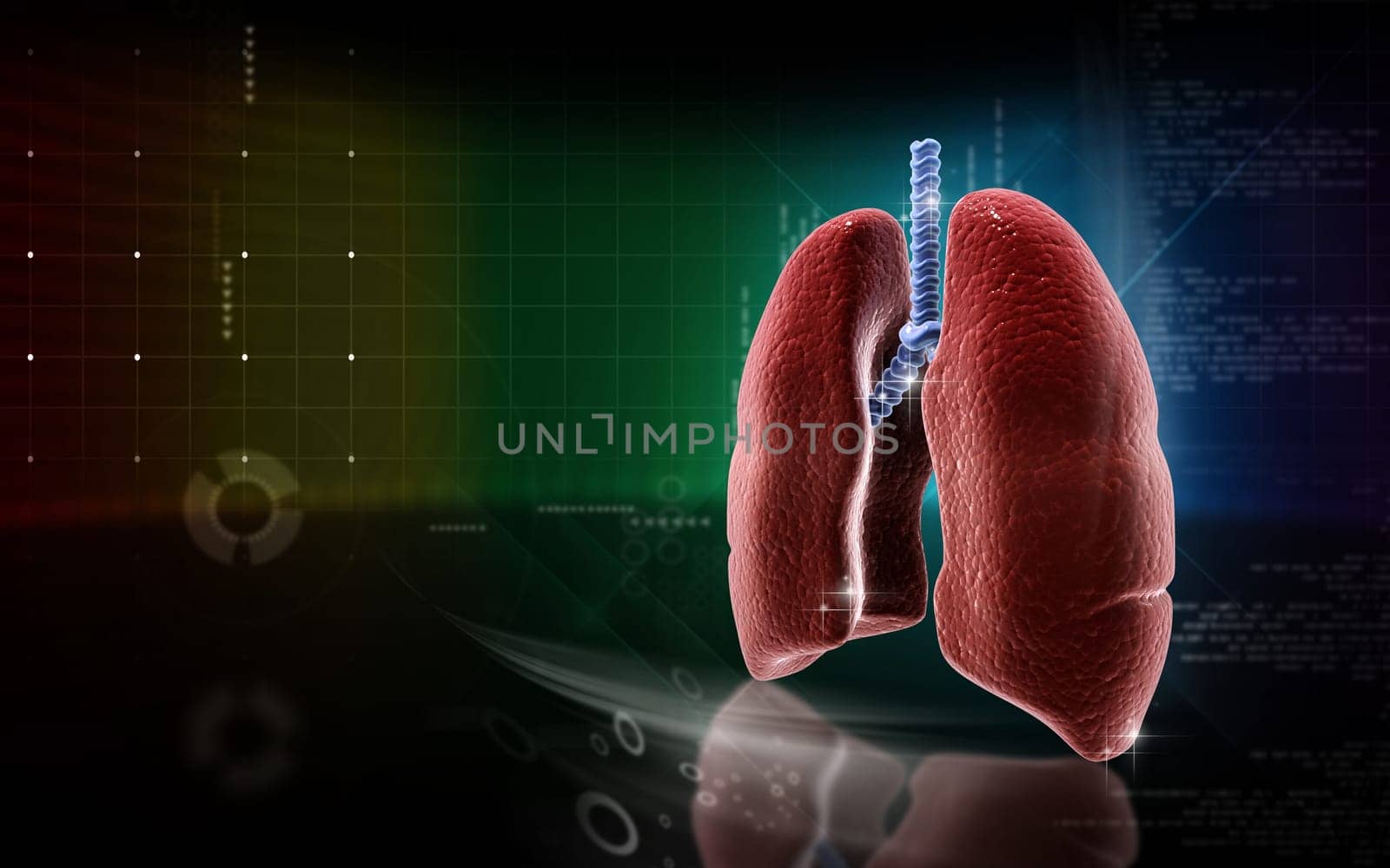 Digital illustration of human lungs in colour background