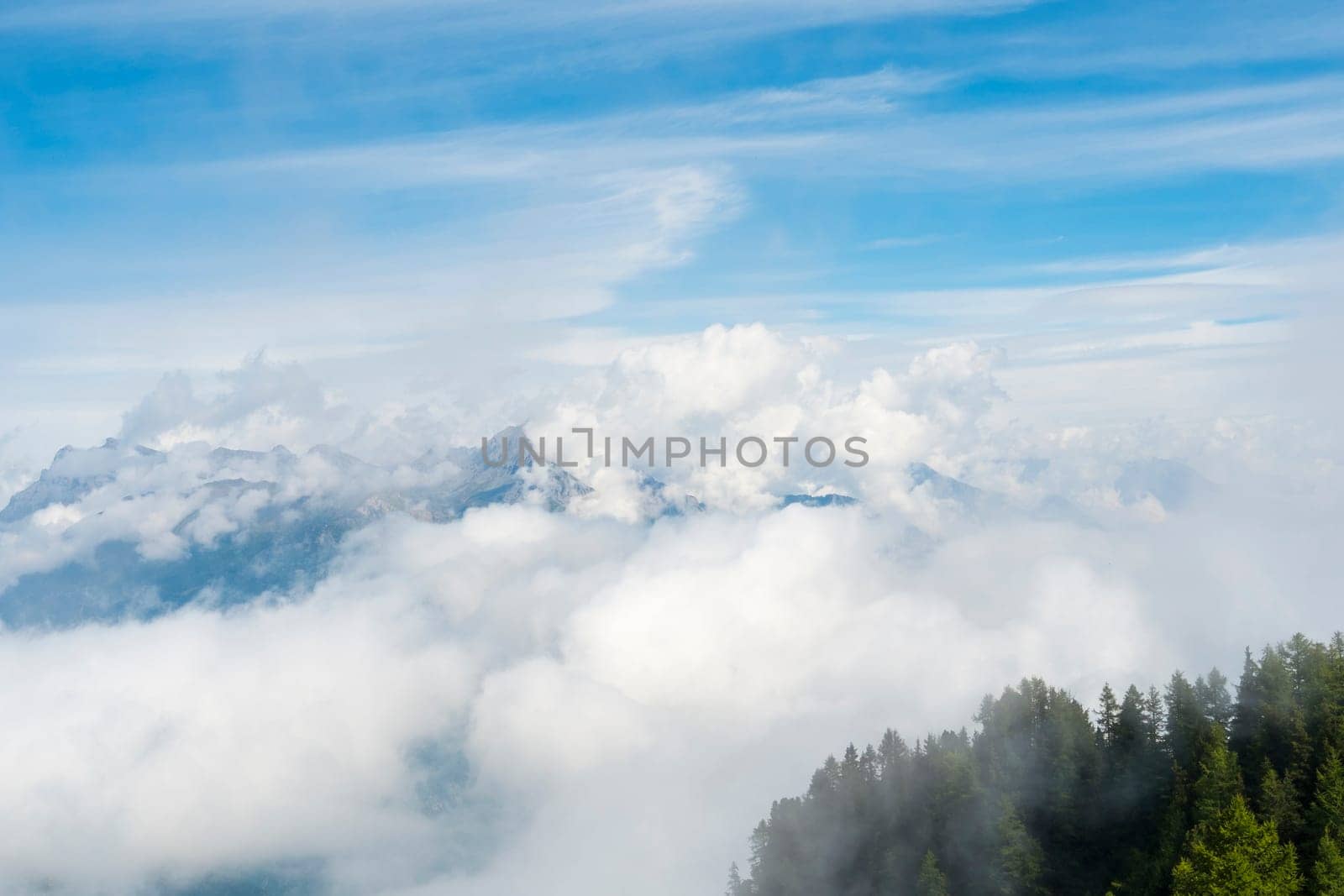 Cloudy L'Arpille Mountain seen from La Giete, in Switzerland, with misty pine trees in the foreground.