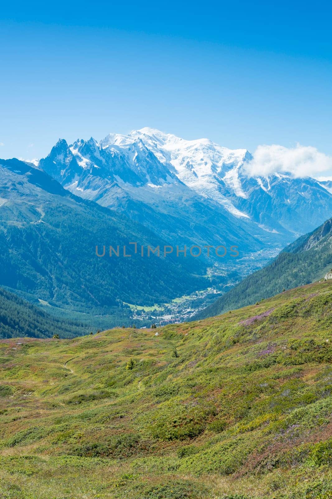 French countryside with Mont Blanc mountain range in the background